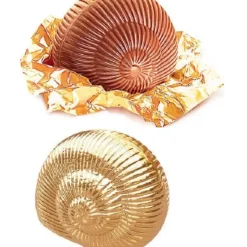 CUISINEADDICT Sachet Escargot Chocolat au Lait Praliné 1 Kg Lanvin New