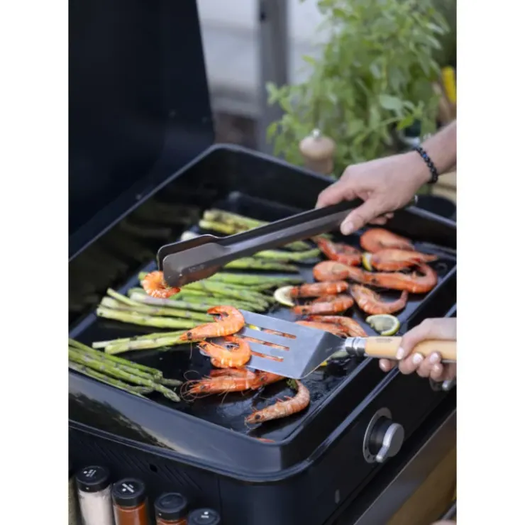 OPINEL Set Barbecue