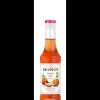 MONIN Sirop Citrouille Epicée 25 cl New