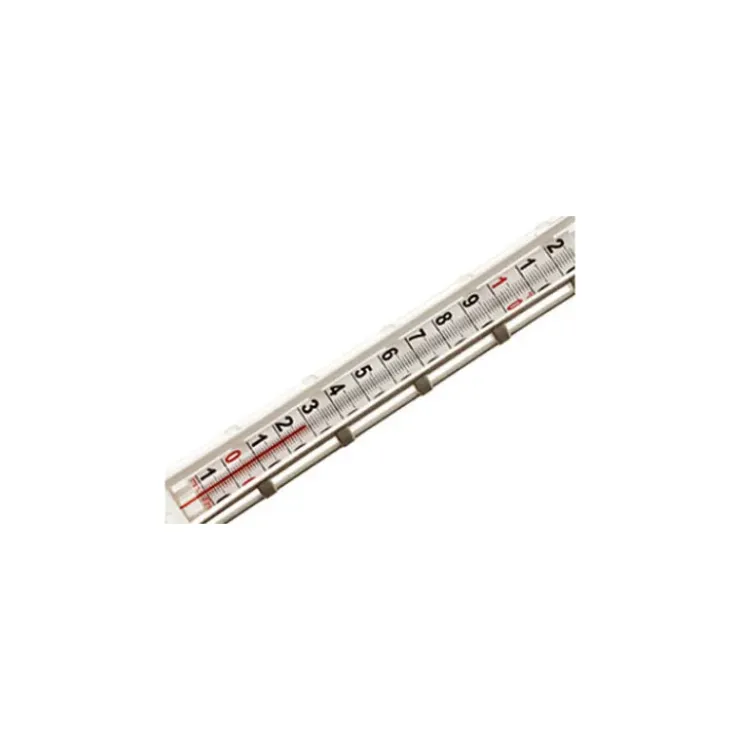 ALLA FRANCE Thermomètre Charcutier (Bain marie et Foie Gras) New