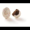 REVILLON Œufs en Chocolat Praliné 2,5 kg Révillon Clearance