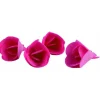 MALLARD FERRIERE Violettes en azyme assorties Ø3,3 cm (x72) Mallard Ferrière Discount